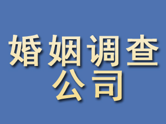 新蔡婚姻调查公司